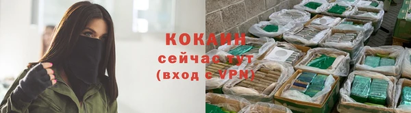молекула духа Гусев