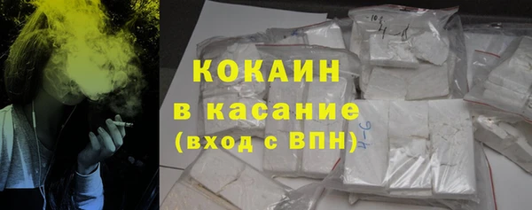 индика Нефтекумск