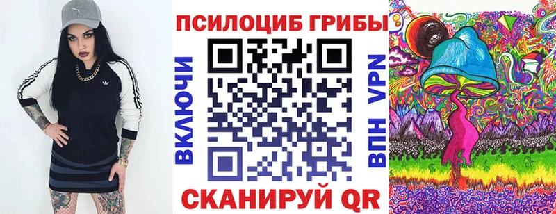 Псилоцибиновые грибы Cubensis  магазин  наркотиков  Очёр 