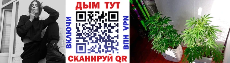OMG как зайти  Очёр  Марихуана Ganja 